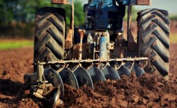 Leggi: «BANDO PER AFFITTO TERRENI AGRICOLI»