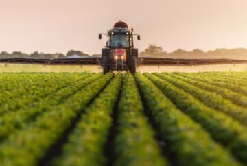 Leggi: «AGGIUDICAZIONE TERRENI AGRICOLI»